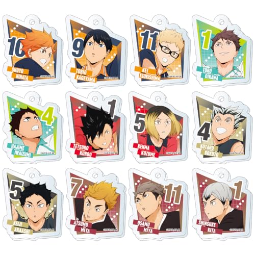 Haikyu!! Collectibles (Miscellaneous Goods)