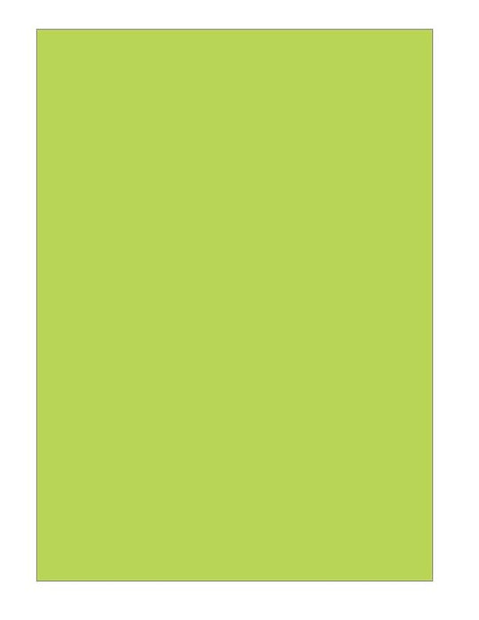 Broccoli Card Sleeve Shuffle Master lime Green BSM-05