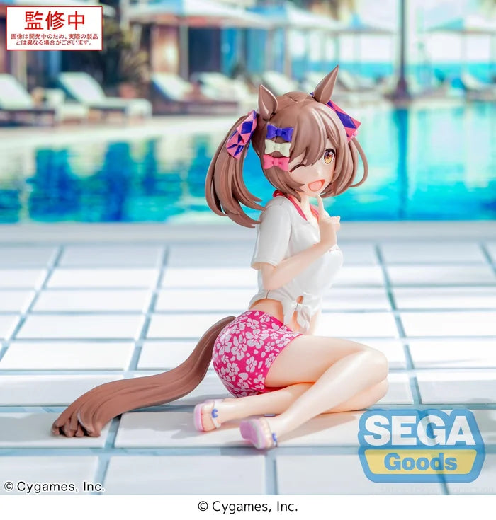 "Umamusume: Pretty Derby" Yumemirize Smart Falcon -Gaze on Me!-