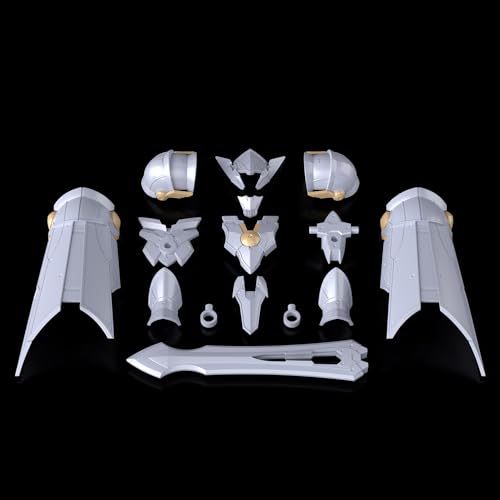 30MF Class-Up Armor (Liber Paladin)