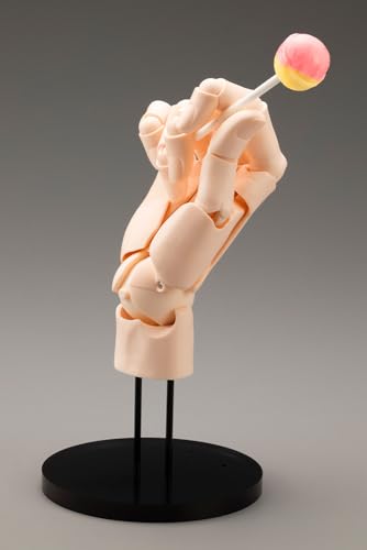 Artist Support Item Hand Model/L -Pale Orange-
