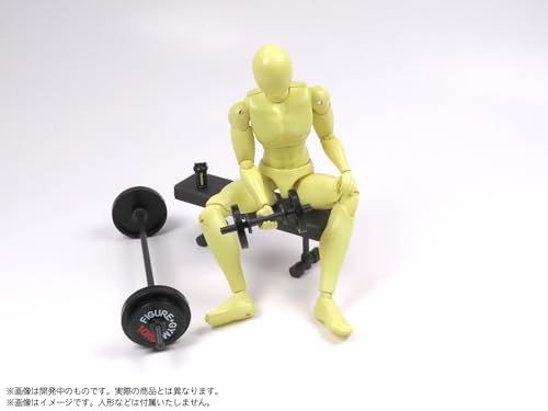 Pripra Figure of Strength Training