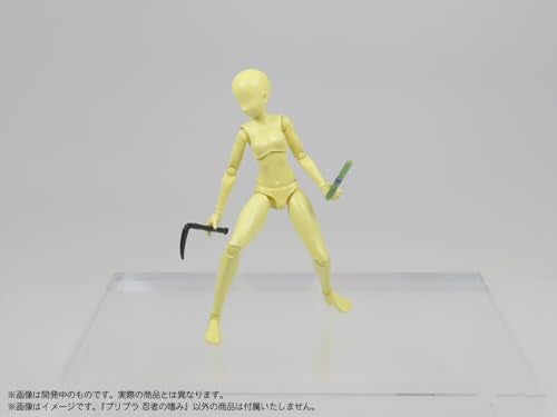 Pripra Ninja no Tashinami