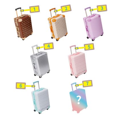Carry Case A