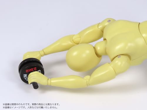 Pripra Figure of Strength Training