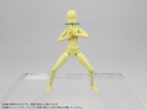 Pripra Ninja no Tashinami