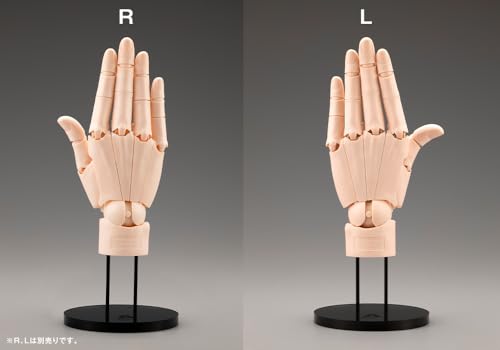 Artist Support Item Hand Model/L -Pale Orange-