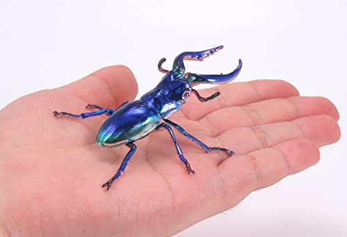 Pripra Fantasy Museum Fantasy Stag Beetle Sapphire