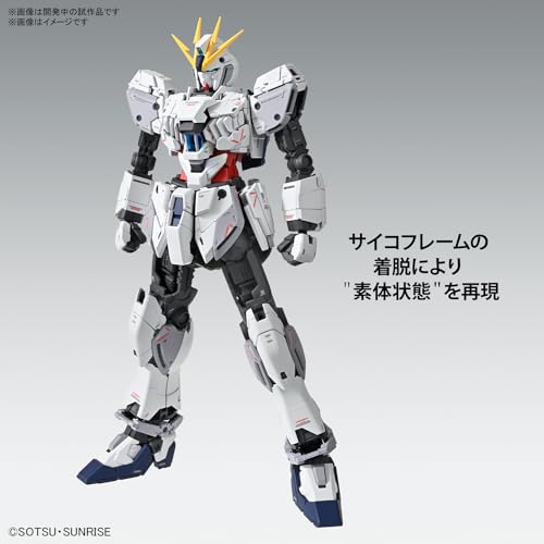 MG 1/100 "Mobile Suit Gundam NT (Narrative)" Narrative Gundam C-Packs Ver. Ka