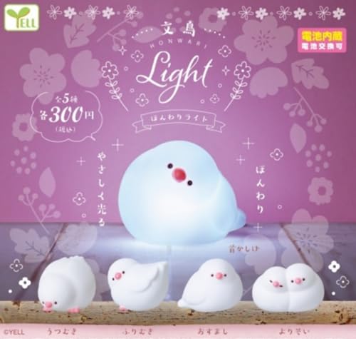 Java Sparrow Honwari Light — Ninoma