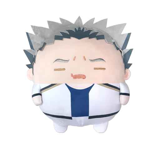HQ-53 "Haikyu!!" Fuwakororin Big Special F Bokuto Kotaro