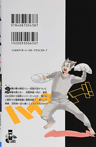 "Haikyu!!" Novel Ver. Vol. 9 Cover: Hinata (Book)