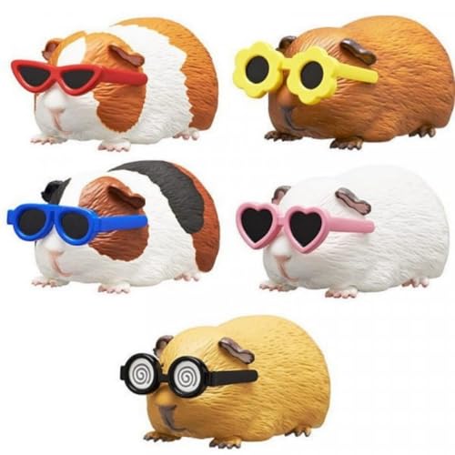 Guinea Pig Wearing Sunglasses