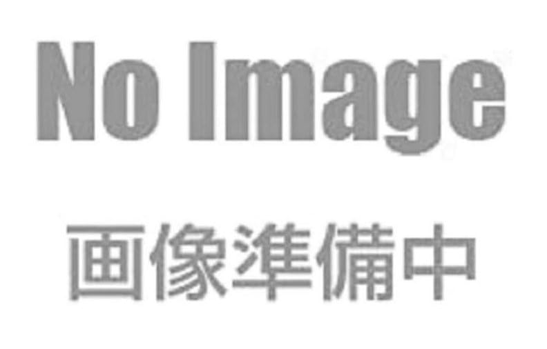 名取さな 名取さながいっぱいコレクションフィギュア BOXver. 6個入りBOX