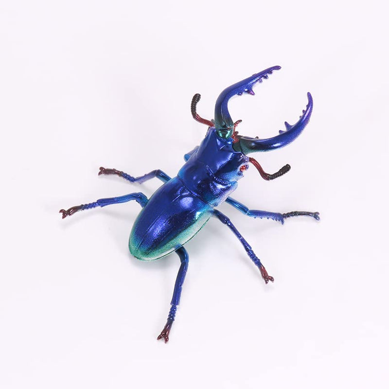 Pripra Fantasy Museum Fantasy Stag Beetle Sapphire