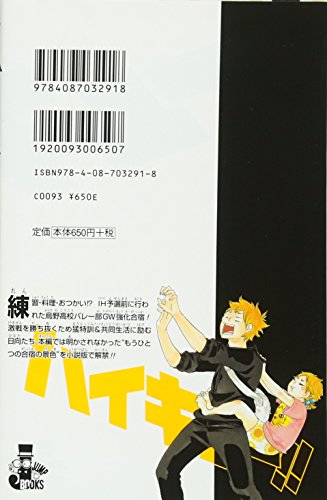 "Haikyu!!" Novel Ver. Vol. 1 Cover: Kageyama (Spring High) (Book)
