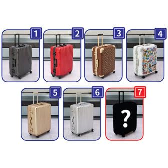 Carry Case B