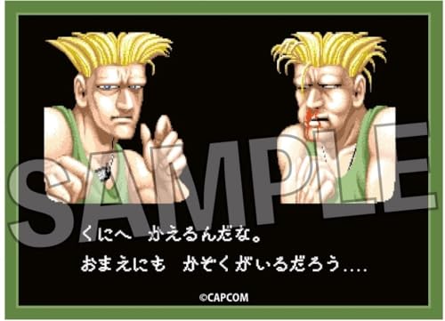 "Street Fighter II" Illustration Sleeve Next Turn Guile