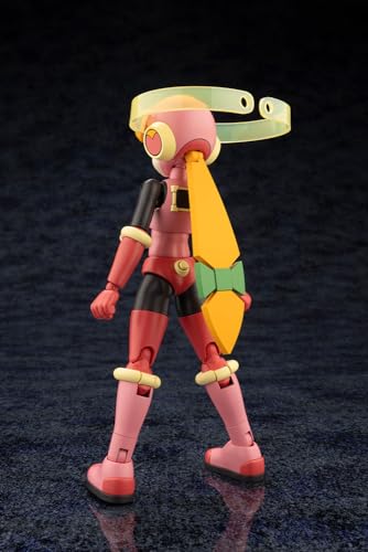 "Mega Man Battle Network" Roll.EXE