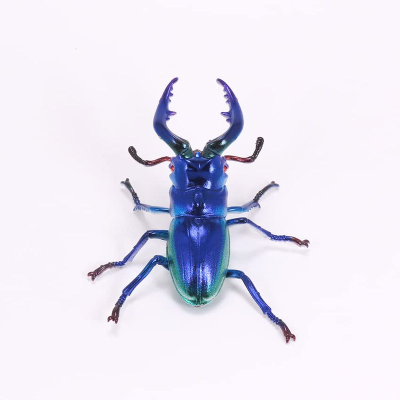Pripra Fantasy Museum Fantasy Stag Beetle Sapphire