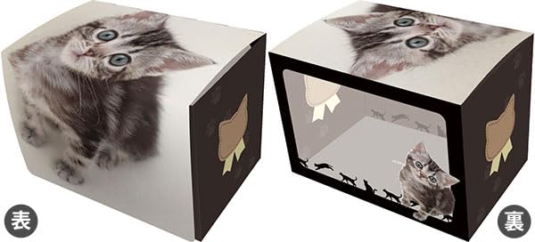 Character Deck Case MAX NEO American Shorthair