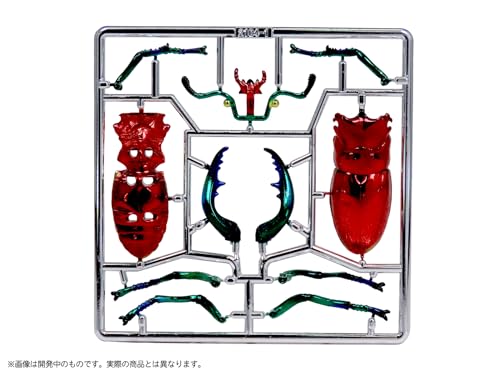 Pripra Fantasy Museum Fantasy Stag Beetle Ruby
