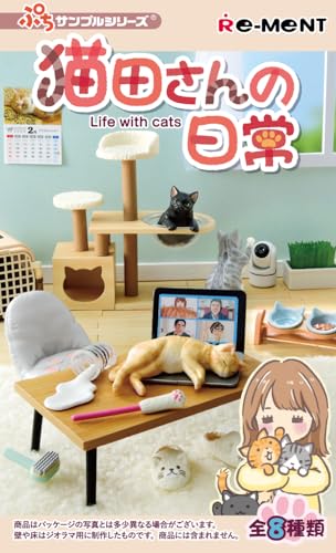 Petit Sample Series Nekota-san no Nichijo