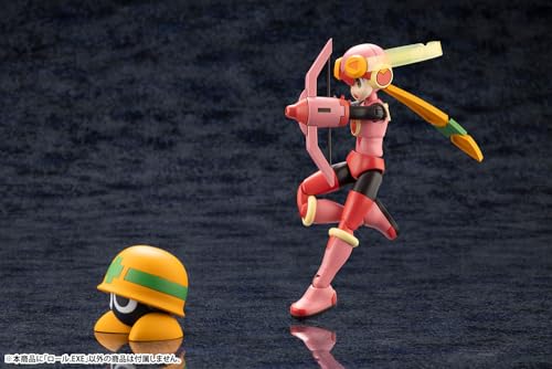"Mega Man Battle Network" Roll.EXE
