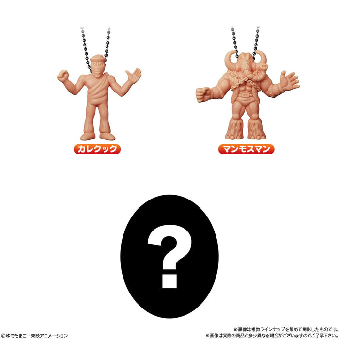 "Kinnikuman" Round5 with Kinkeshi Charm