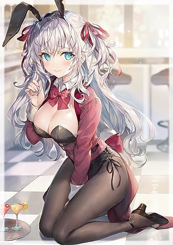 momoco Art Book arietta Bunny-Chan
