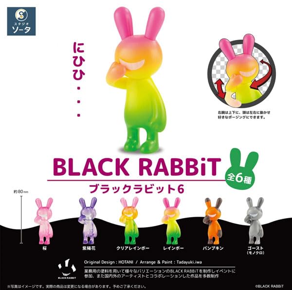 BLACK RABBiT 6