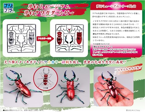 Pripra Fantasy Museum Fantasy Stag Beetle Ruby