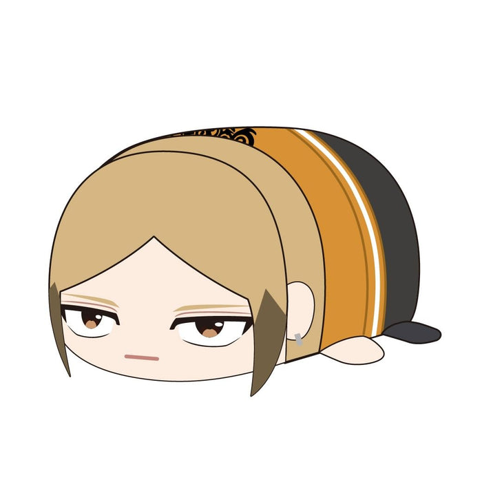 WB-14 "Wind Breaker" Potekoro Mascot Big 2 D Sako Kota