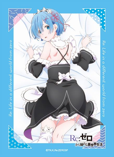 Broccoli Character Sleeve "Re:Zero kara Hajimeru Isekai Seikatsu" Rem Revival