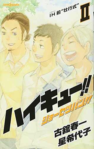 "Haikyu!!" Novel Ver. Vol. 2 Cover: Hinata (Beach) (Book)