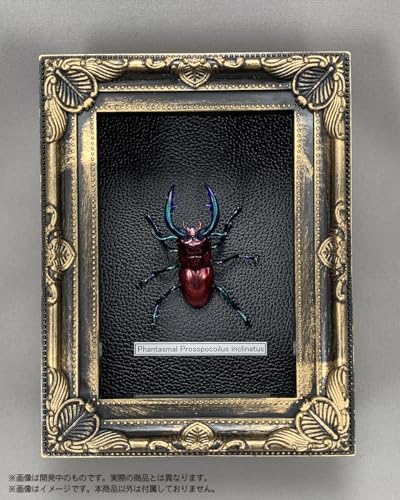 Pripra Fantasy Museum Fantasy Stag Beetle Ruby