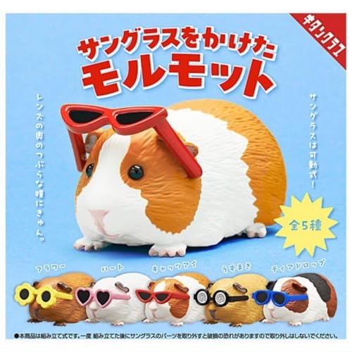 Guinea Pig Wearing Sunglasses