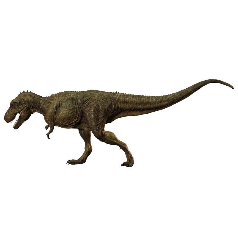 NANKOKU FACTORY Tyrannosaurus Type B Middle Soft Vinyl Kit Reprint Edition