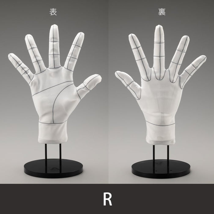 Artist Support Item Hand Model Glove/R -Wireframe-