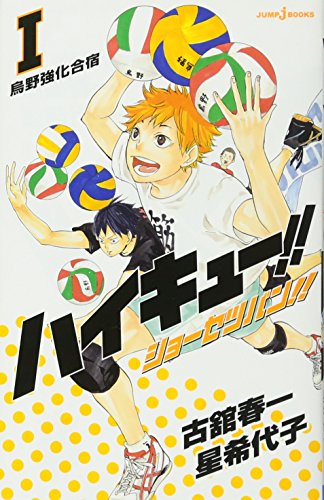 "Haikyu!!" Novel Ver. Vol. 1 Cover: Kageyama (Spring High) (Book)