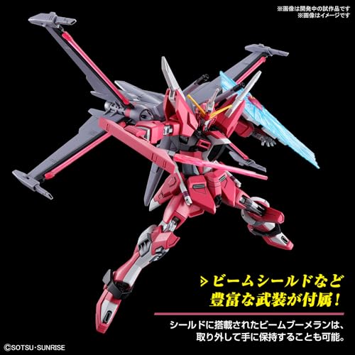 HG 1/144 "Mobile Suit Gundam SEED Freedom" Infinite Justice Gundam Type II