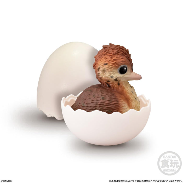 Tenori Baby Friends -Birds-