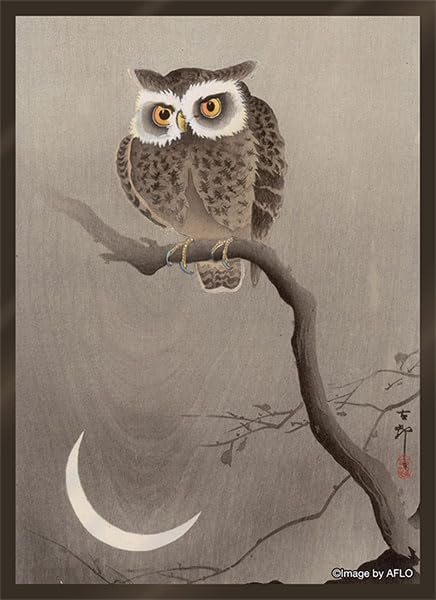 Broccoli Character Sleeve Platinum Grade Koson Ohara Scops Owl on A Branch with Crescent Moon
