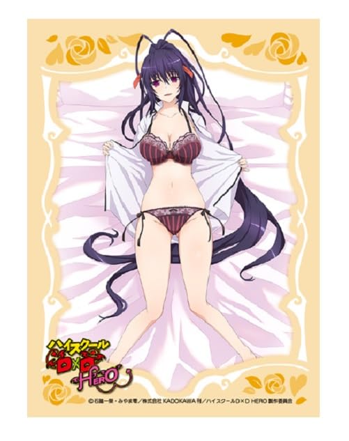 Chara Sleeve Collection Matt Series "High School DxD Hero" Himejima Akeno No. MT1872