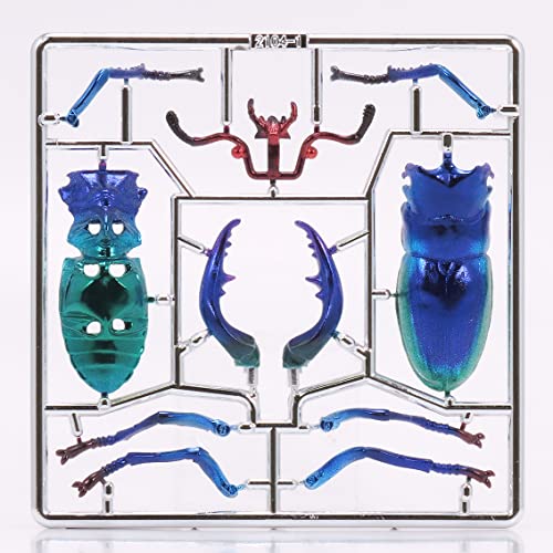 Pripra Fantasy Museum Fantasy Stag Beetle Sapphire