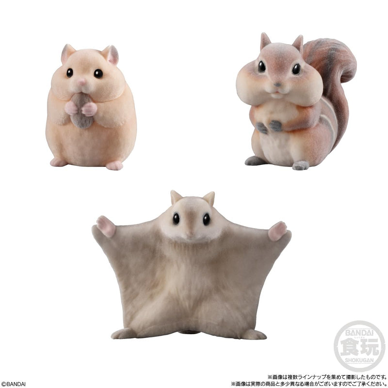 Mofumofu Tenori Friends 2 -Small Animals-