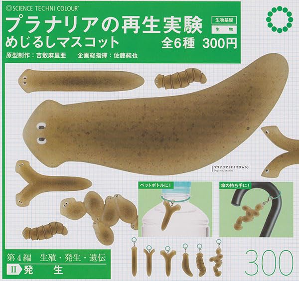 Science Techni Colour Planarian Regeneration Experiment Mark Mascot