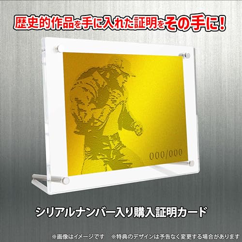 THE KING OF COLLECTORS'24 SPECIAL "Fatal Fury Special" Terry Bogard (Pixel Art Painting Color)