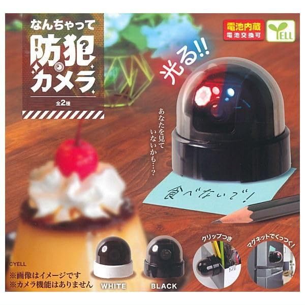 Nanchatte Security Camera