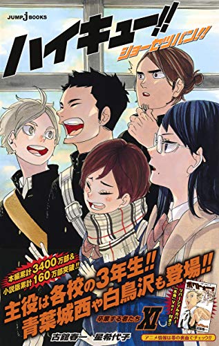 "Haikyu!!" Novel Ver. Vol. 11 Cover: Bokuto (Book)